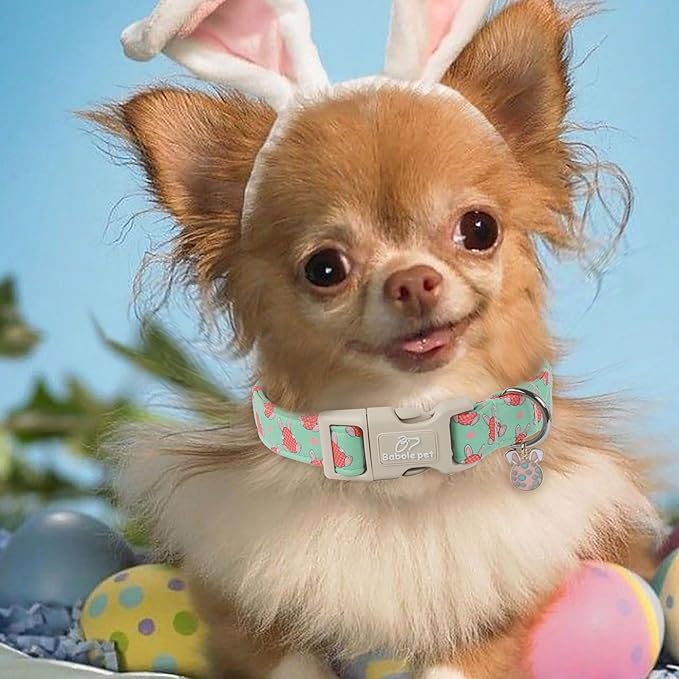 Easter Dog Collar for Small Dogs - Green Bunny Egg Dog Collars, Cute Boy Girl Dogs Easter Collar, Adjustable Spring Holiday Pet Collars with Quick Release Buckle S