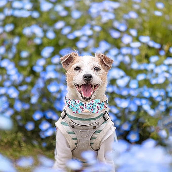 Elegant little tail Dog Collar, Rose Print Pet Collar Summer Dog Collar Durable Metal Buckle Dog Collars Cotton Pet Adjustable Dog Collars for Medium Dogs