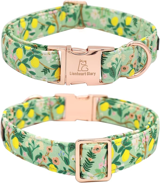 Lionheart Glory Dog Collar, Dog Collar with Flower, Cute Lemon Floral Pattern Pet Collar Adjustable Dog Collar for Large Dogs