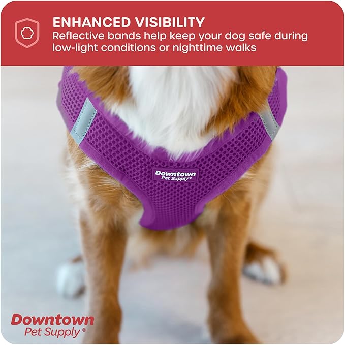 Downtown Pet Supply Step-in Dog Harness – No Pull, Adjustable Padded Mesh with Reflective Trim, Secure Buckle Strap – Comfortable & Breathable Small Dog Harness, Medium, Purple