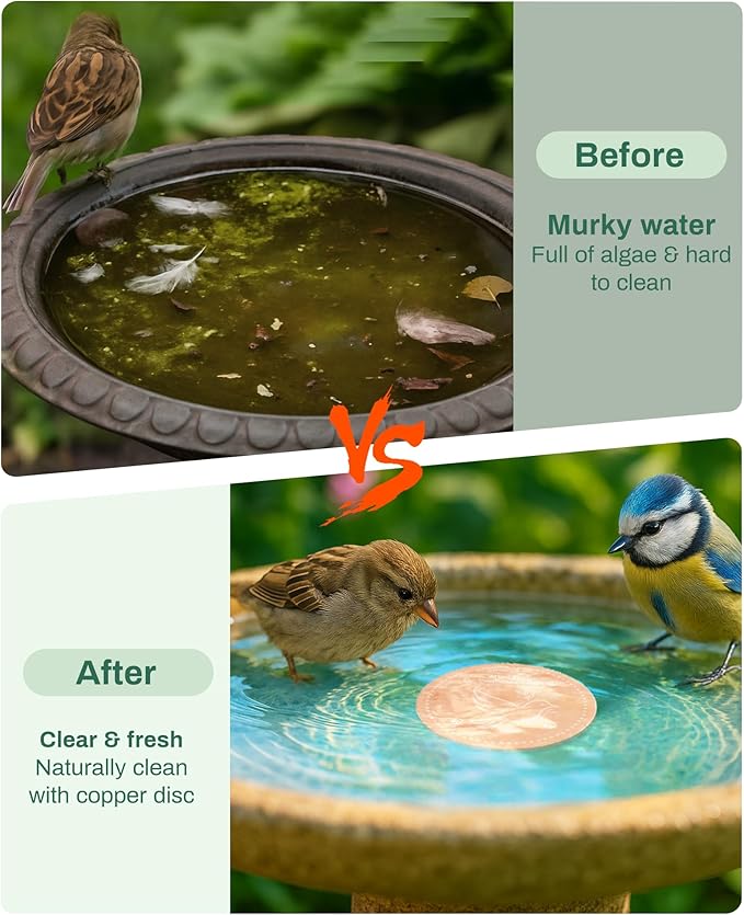 Bird Bath Purification Disk Pure Copper Outside Winter Solar Power Birdbath Wild Hummingbird Pedestal Fountain Cleaner Outside Humming Feeder Cage Dispenser Heater Garden Deal Lover Women Gift