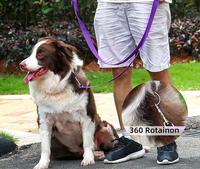 AMAGOOD Dog/Puppy Obedience Recall Training Agility Lead-15 ft 20 ft 30 ft 50 ft Long Leash-for Dog Training,Tie Out,Play,Safety,Camping (15Feet x 1Inch, Purple)