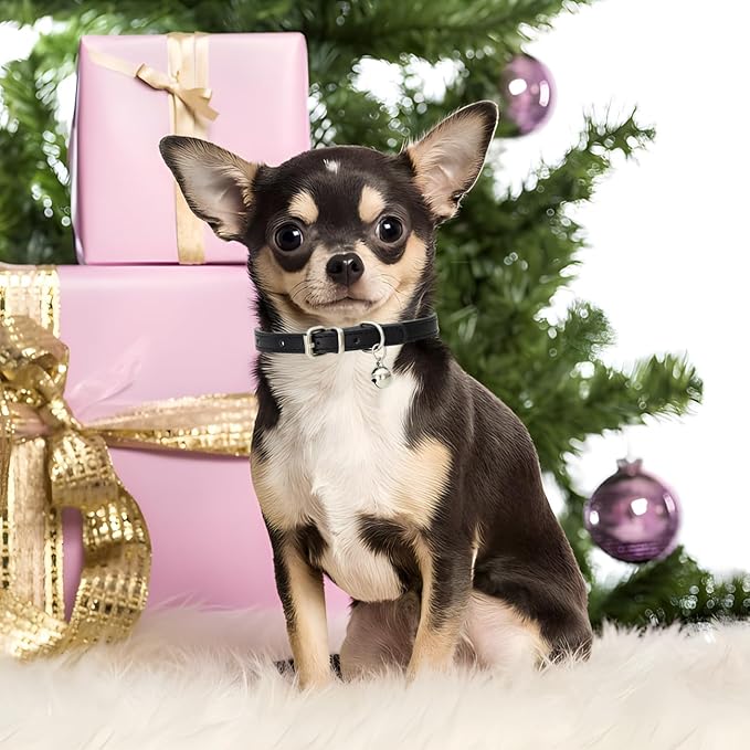 Hot Pink XS Dog Collar with Bell, Soft Pu Leather Cat Collars Adjustable Buckle for XXS Extra Small Medium Tiny Female Girls Pets Puppy Kitten Teacup Yorkie X-Small