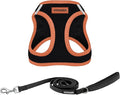 Best Pet Supplies Voyager Step-in Air All Weather Mesh Harness and Reflective Dog 5 ft Leash Combo with Neoprene Handle, for Small, Medium and Large Breed Puppies - Black/Orange Trim, Large