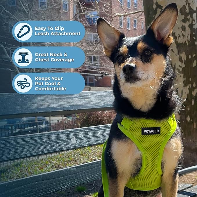 Voyager Step-in Pet Harness - All Weather Mesh, Adjustable Step in Harness for Cats and Dogs by Best Pet Supplies - Lime Green, S