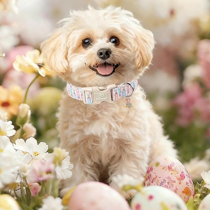 Easter Dog Collar for Small Dogs - Pastel Bunny Easter Collars for Female Dogs, Cute Spring Girl Dog Collar, Lightweight Adjustable Cartoon Holiday Pet Collars S