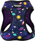 Downtown Pet Supply Step-in Dog Harness – No Pull, Adjustable Padded Mesh with Reflective Trim, Secure Buckle Strap – Comfortable & Breathable Small Dog Harness, X-Small, Space