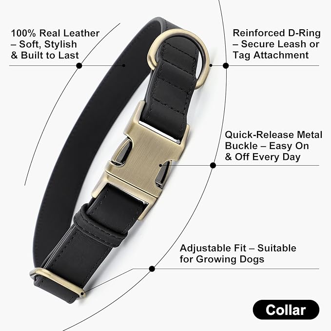 Plutus Pet Genuine Leather Dog Collar – Adjustable Pet Collar with Quick Release Metal Buckle, Soft Real Leather for Small Medium Large Dogs, Heavy Duty & Skin-Friendly (Black, M)