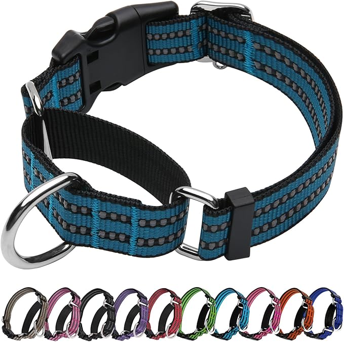 Martingale Dog Collar, Adjustable Nylon Reflective Collar with Quick Release Buckle (Gentian Blue, Large)