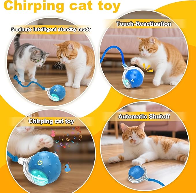 2-Pack Interactive Cat Toys Ball for indoor Cats＆Dog,Automatic Cat Toy with Smart Obstacle Avoidance &Bird Chirps ,Includes 4 Cat Spiral Spring,Cat Enrichment Toys for Indoor Cats(Orange＆Blue)