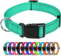 TagME Reflective Nylon Dog Collars, Adjustable Classic Pet Collar with Quick Release Buckle for Large Dogs, Turquoise, 1.0" Width