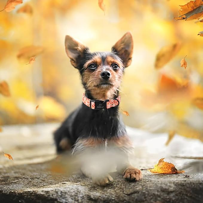 Fall Dog Collar, Cute Football Pattern Puppy Collar, Orange Adjustable Cotton Holiday Tanksgiving Dog Collars for Small Medium Large Boy&Girl Dogs S