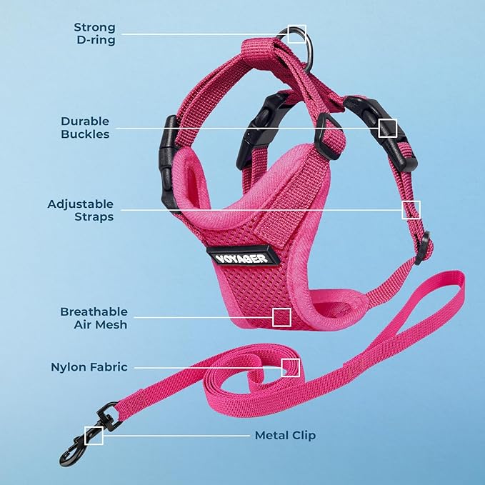 Voyager Escape-Proof Step-in Lock Cat Harness & 5ft Neoprene-Handle Leash Set All-Weather Mesh with Reflective Stitching for Small to Large Cats by Best Pet Supplies, Fuchsia, S