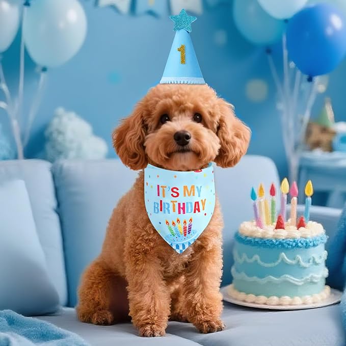 Dog Birthday Party Supplies with Hat Bandana Numbers, Light Blue Dog Birthday Set for Small Pets Puppy Boy