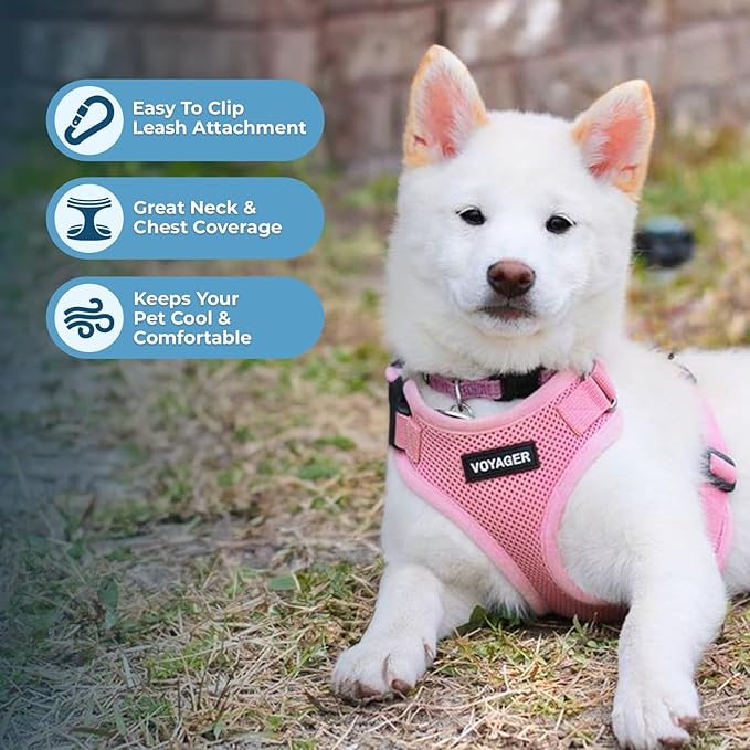 Voyager Step-in Pet Harness - All Weather Mesh, Adjustable Step in Harness for Cats and Dogs by Best Pet Supplies - Pink, M