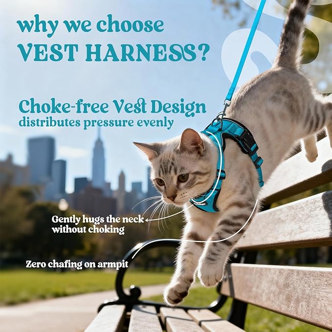 rabbitgoo Cat Harness and Leash for Walking, Escape Proof Soft Adjustable Vest Harnesses for Cats, Easy Control Breathable Reflective Strips Jacket, Teal, XXS