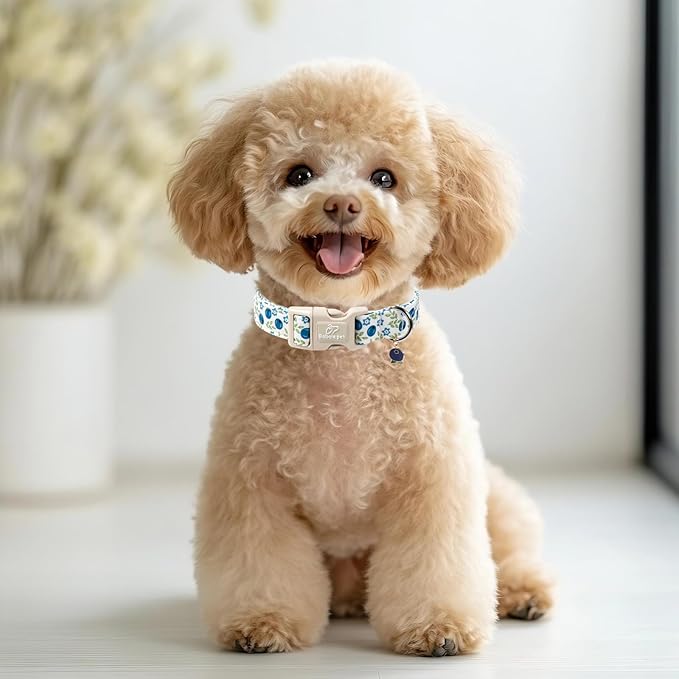 Spring/Summer Dog Collar for Small Dogs - Fresh Blueberry Girl Boy Dog Collars, Soft Lightweight Puppy Collar, Breathable Adjustable Male Female Fruit Floral Dogs Collars S