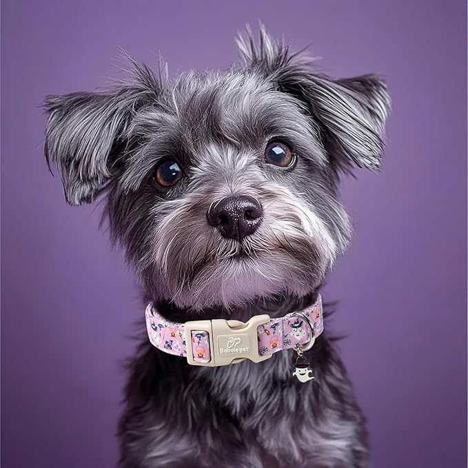 Halloween Dog Collar Cute Wizard Ghost Puppy Collar - Light Comfortable Adjustable Pet Collars for Small Medium Large Girl Boy Dogs XS