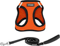 Best Pet Supplies Voyager Step-in Air All Weather Mesh Harness and Reflective Dog 5 ft Leash Combo with Neoprene Handle, for Small, Medium and Large Breed Puppies - Orange/Black Trim, Large