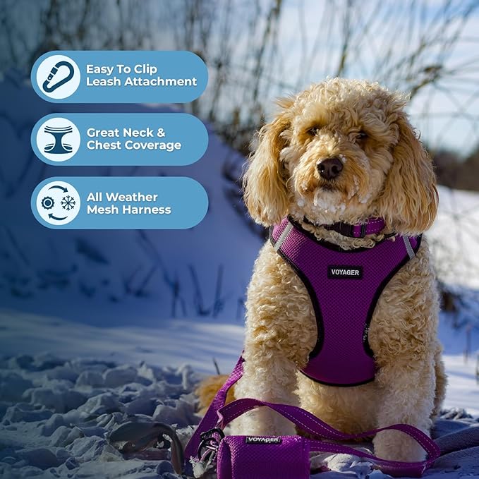 Best Pet Supplies Voyager Step-in Air All Weather Mesh Harness and Reflective Dog 5 ft Leash Combo with Neoprene Handle, for Small, Medium and Large Breed Puppies - Purple/Black Trim, Large
