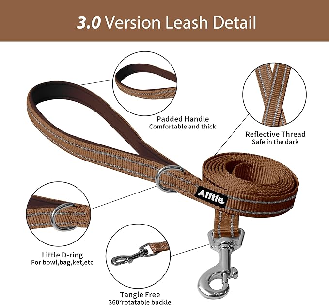 AIITLE No Pull Dog Harness and Leash Set, Step in Adjustable Dog Harness with Padded Vest for All Weather, Dog Leash with Soft Padded Handle, Easy to Put on Small and Medium Dogs Beige S