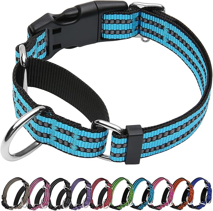 Martingale Dog Collar, Adjustable Nylon Reflective Collar with Quick Release Buckle (Blue, Extra Large)
