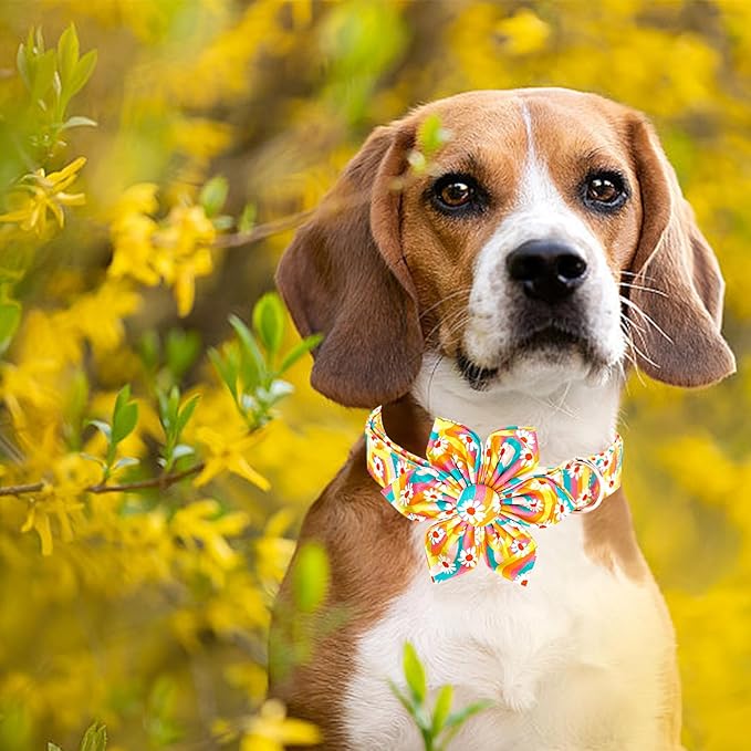 Lionheart glory Dog Collar with Flower, Sunflower Pattern Pet Collar Durable Cute Dog Flower Collars Summer Spring Female Pet Gift Adjustable Dog Collar for Medium Dogs