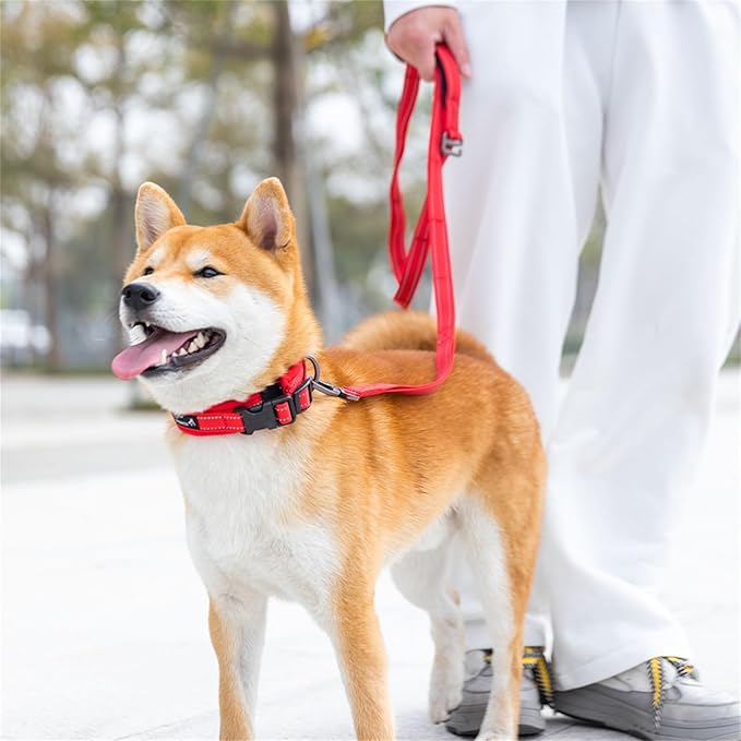 EXCELLENT ELITE SPANKER Reflective Dog Collar Classic Soft Padded Breathable Nylon Adjustable Pet Collar with Quick Release Buckle for Boy Girl Male Female Small Medium Large Dogs Training(Red-S)