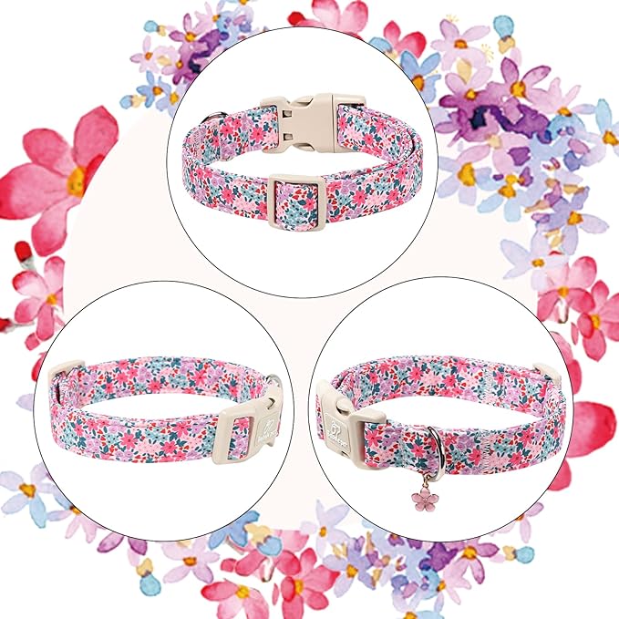 Floral Dog Collar, Cute Girl Dog Collars - Pastel Wildflowers Pattern Spring Summer Puppy Collar, Adjustable Female Dog Collars for Small Medium Large Dogs S