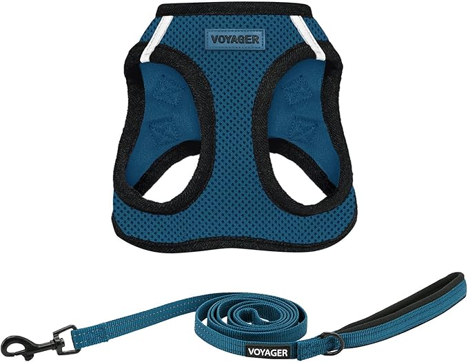 Best Pet Supplies Voyager Step-in Air All Weather Mesh Harness and Reflective Dog 5 ft Leash Combo with Neoprene Handle, for Small, Medium and Large Breed Puppies - Blue/Black Trim, Large