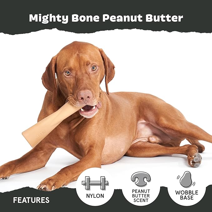 Barkbox Super Chewer Tough Dog Chew Toys for Aggressive Chewers, Dental Stimulating (PB Bone - Large)