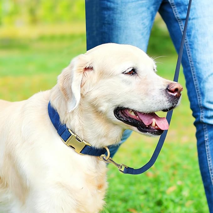 Genuine Leather Dog Collar - Adjustable Pet Collar with Quick Release Metal Buckle, Soft Skin Friendly Real Leather Collar for Small, Medium, Large Dogs (Blue, S：Fit 8-16" Neck)