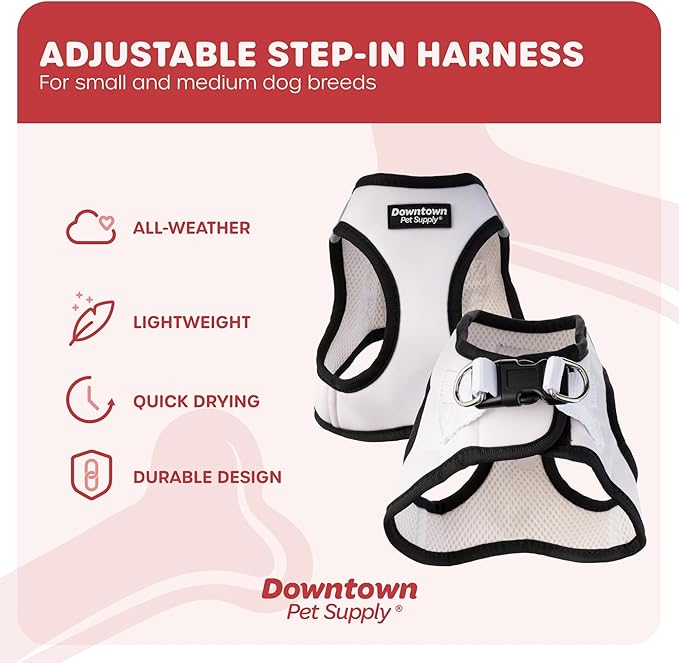 Downtown Pet Supply Step in Dog Harness for Small Dogs No Pull, Small, Doodle - Adjustable Harness with Padded Mesh Fabric and Reflective Trim - Buckle Strap Harness for Dogs