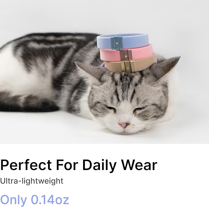Safety Cat Collar - U.S. IDA Gold Awarding Design, Elastic Quick Release, Non Breakaway - Lightweight for Kitten, Neck Fit 7.8'-15.7' for All Small Large Cat,M(Linen)