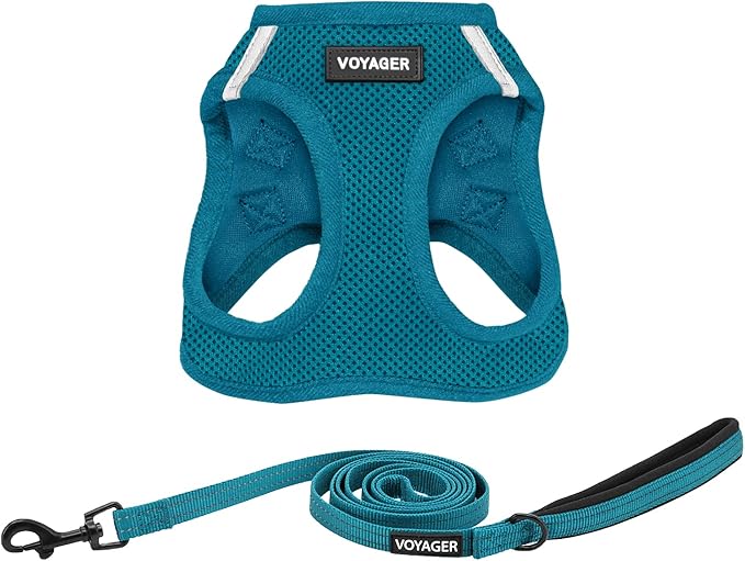 Best Pet Supplies Voyager Step-in Air All Weather Mesh Harness and Reflective Dog 5 ft Leash Combo with Neoprene Handle, for Small, Medium and Large Breed Puppies - Set (Turquoise), L