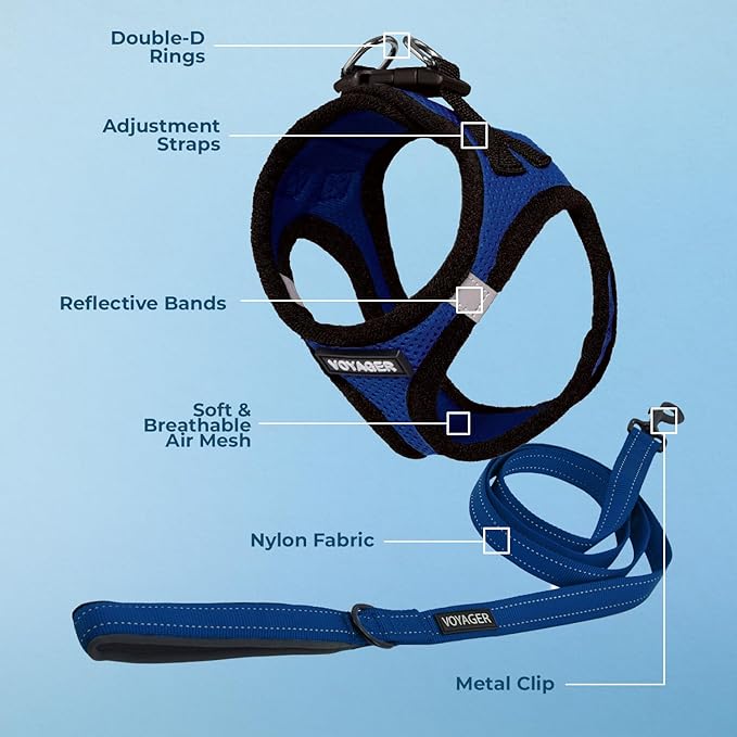 Best Pet Supplies Voyager Step-in Air All Weather Mesh Harness and Reflective Dog 5 ft Leash Combo with Neoprene Handle, for Small, Medium and Large Breed Puppies - Royal Blue/Black Trim, Medium