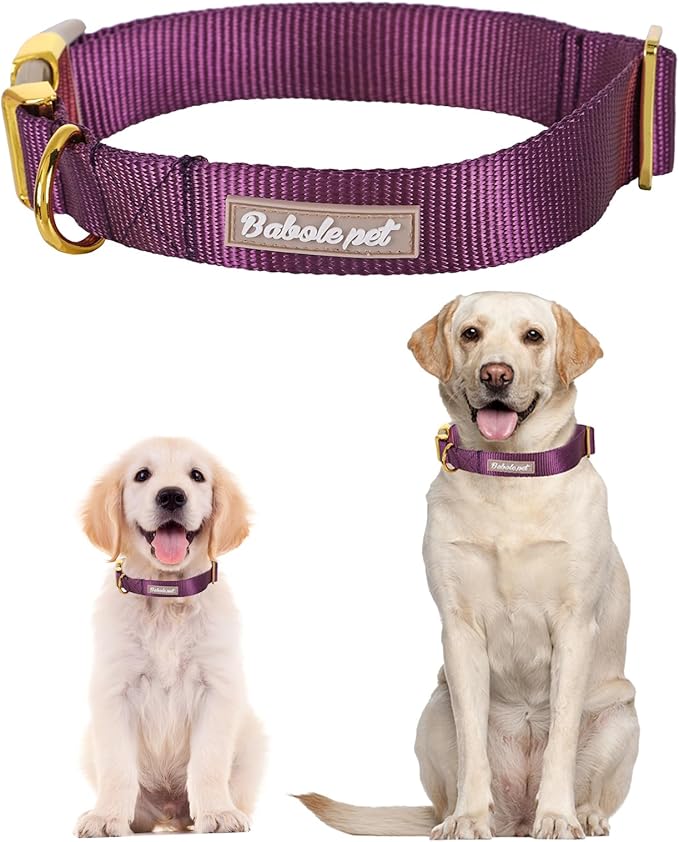 Nylon Dog Collar - Adjustable Deep Purple Soft Webbing Dog Collars for Small Medium Large Dogs Boy Girl Puppy Collar with Safety Metal Buckle M
