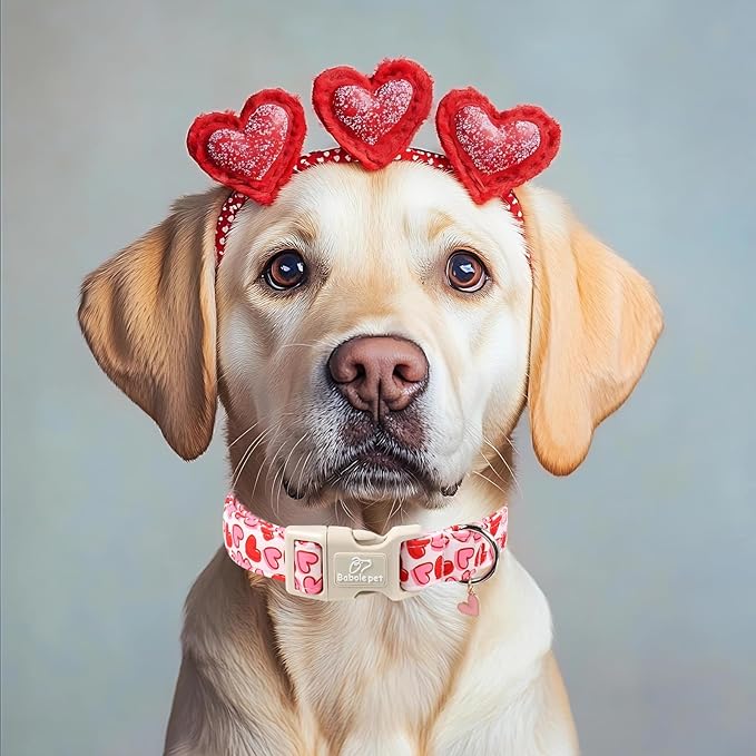 Valentines Dog Collar for Small Dogs - Pink Valentine Hearts Dog Collars, Girly Love Female Dogs Collars, Lightweight Adjustable Cute Puppy Collar with Quick-Release Buckle XS