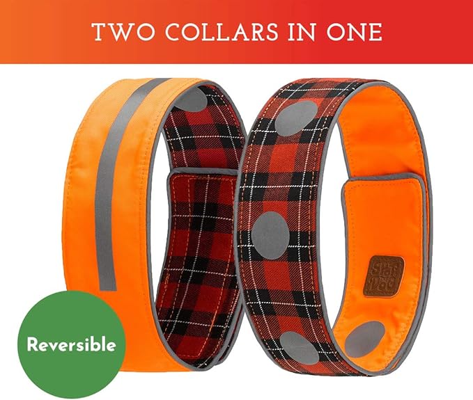 SPOT THE DOG! Reflective Dog Collar - Adjustable Pet Collars, Safe, Durable, Comfortable Dog Walking Accessories for Medium Dog, Hunting Dog, Puppy, Boy, Girl Dog Collars (Blaze Orange, Red Plaid, M)