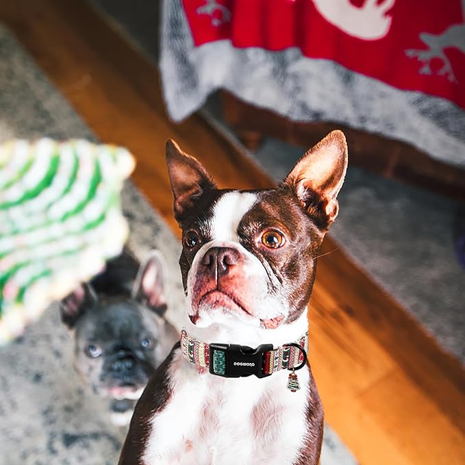 DOGWONG Christma Dog Collar, Classic Cute Red Green Christmas Tree Dog Collar for Boy and Girl Dogs, Strong Plastic Buckle Dog Collars for Large Dogs,XL