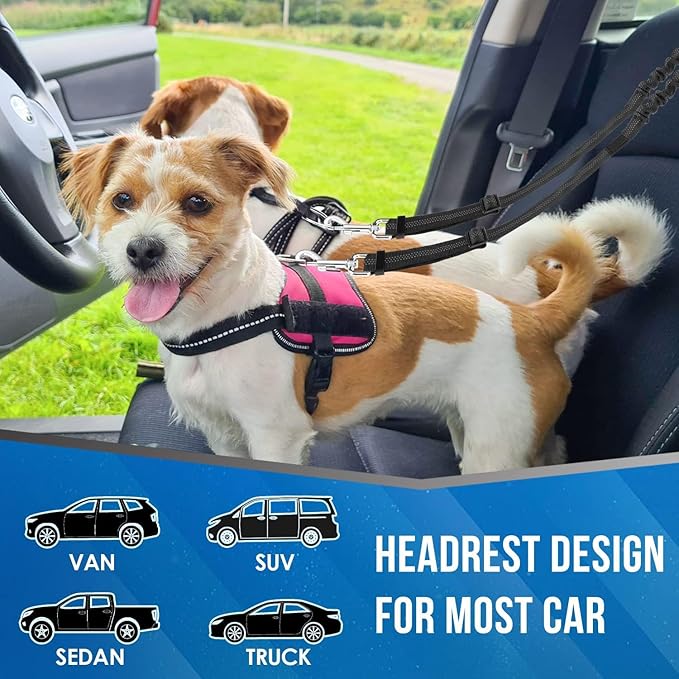 Dog Seat Belt for Car, Dual Pet Vehicle Headrest Restraint Safety Seatbelt,Two Dog Leash No Tangle Dog Car Leash Seat Belt,Duty Adjust Elastic Connect Harness in Vehicle Travel(Black)