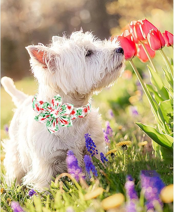 Lionheart glory Dog Collar Flowers Collar Floral Dog Collar with Flower Spring Summer Cute Collar Dog Boy or Girl Dog Collars Soft Durable Adjustable Dog Collars for Small Dogs