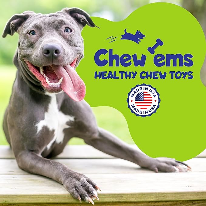 Chew’ems X Bone Dog Chew – Long-Lasting Salmon Flavor Treats for Aggressive Chewers – Rawhide-Free, Durable Dental Chews – Large Size