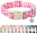 Summer Daisy Dog Collar, Cute Floral Adjustable Pink Dog Collars for Large Dogs, Lightweight Quick-Release Buckle Collar for Boy&Girl Dogs L
