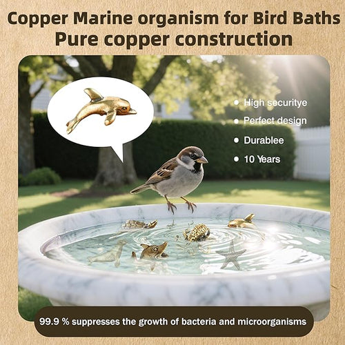 6 Pcs Copper Bath Disks Ornaments Mini Ocean Animal Shape– Starfish Turtle Dolphin Shark Sea Lion Octopus, Unique Copper Birdbath Purification Cleaner, Universal Fit for Outdoor Birdbaths