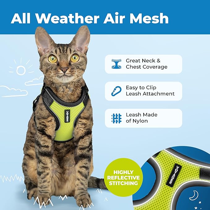 Voyager Escape-Proof Step-in Lock Cat Harness & 5ft Neoprene-Handle Leash Set All-Weather Mesh with Reflective Stitching for Small to Large Cats by Best Pet Supplies, Black Trim-Lime (327), XXS