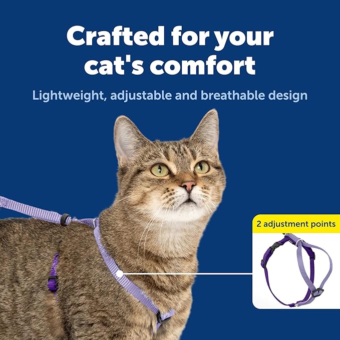PetSafe Come With Me Kitty Cat Harness & Bungee Leash - Comfortable Cat Harness with Lightweight Bungee Leash for Outdoor Fun - More Secure Walks - Large - Lilac