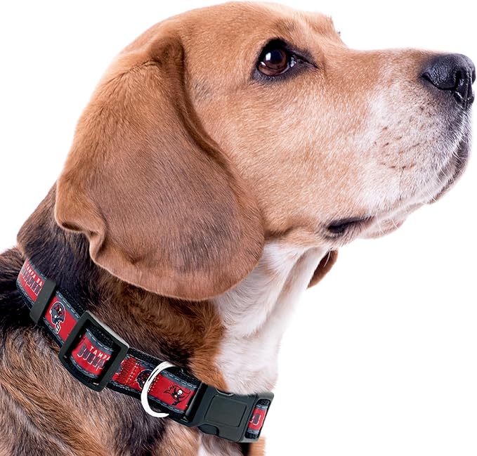 Pets First NFL Tampa Bay Buccaneers Licensed PET COLLAR, Medium - Heavy-Duty, Strong, and Durable Dog Collar. Available in 31 Football Teams and 4 Sizes
