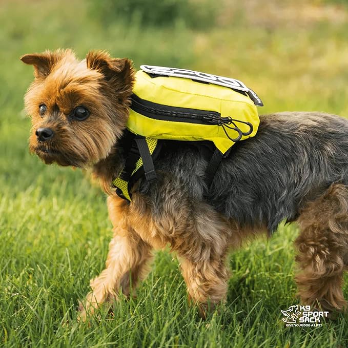 K9 Sport Sack Walk-On | Dog Carrier Dog Backpack with Harness & Storage (Medium, Anthracite Black)