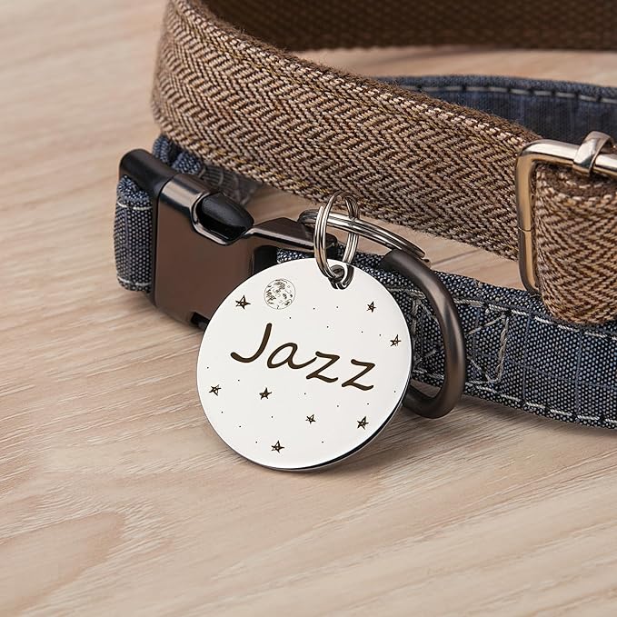 Anavia Small Size Dog Cat ID Tags, Small/XS Personalized Color Plated Stainless Steel Puppy Kitten Name Tags, Customized Engraved Nameplate Pet Collar Tag (Gold, Round)